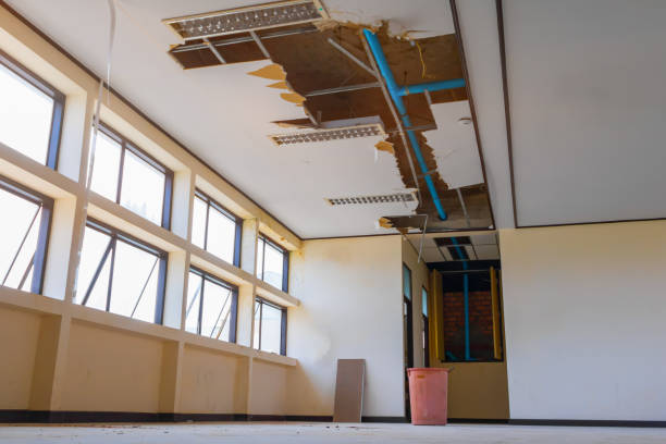 Best Water damage repair service  in Glasco, NY
