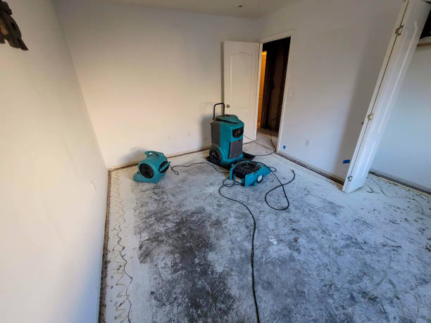 Best Water damage contractors near me  in Glasco, NY