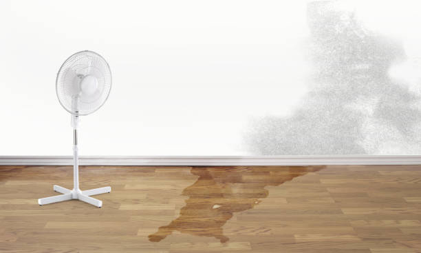 Best Water damage mitigation services  in Glasco, NY