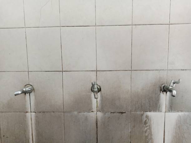 Best Flood restoration services  in Glasco, NY