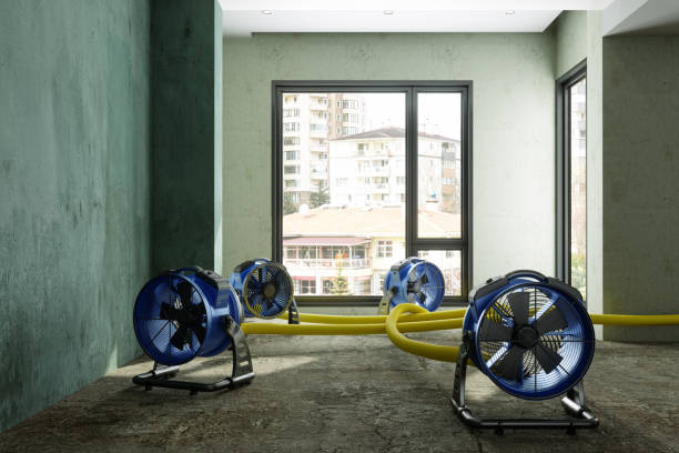 Best Sewage cleanup and water damage restoration  in Glasco, NY