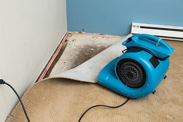 Trusted Glasco, NY Water damage restoration Experts